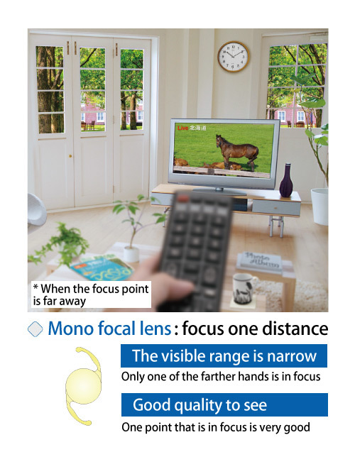 Monofocal lens:One focus distance