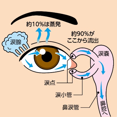 目薬を点眼する際の注意点についての画像