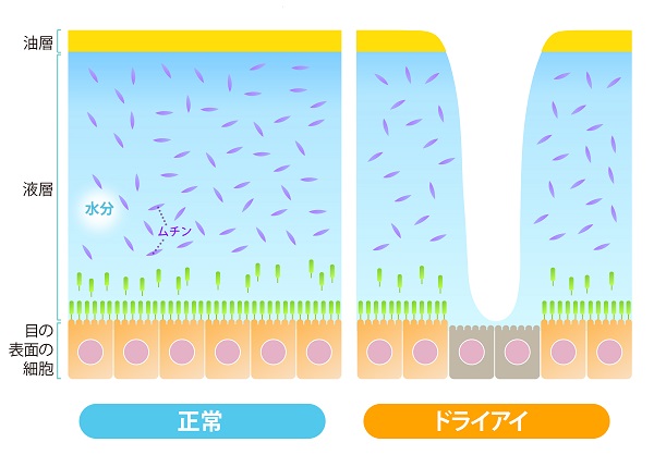 【目にまつわる話】『涙』についての画像