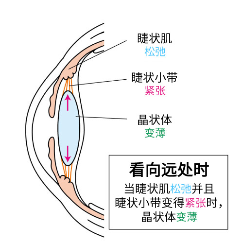 老視についての画像